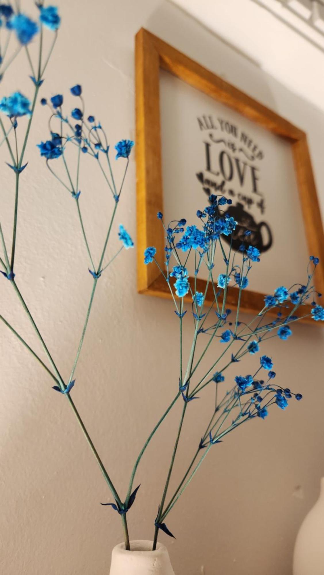Irem Hotel apartamentowy